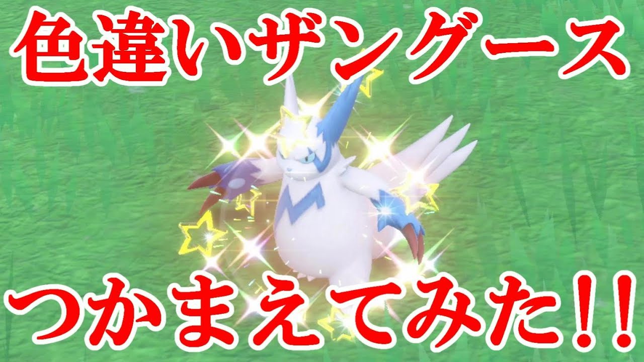 【ポケモンSV】色違いザングースつかまえてみた！！