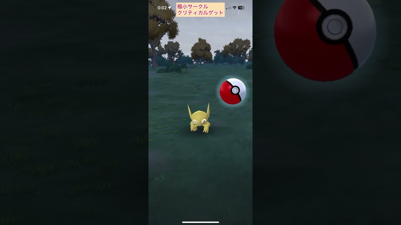 【難易度高】色違いヤミラミ極小サークルクリティカルゲット【ポケモンGO】