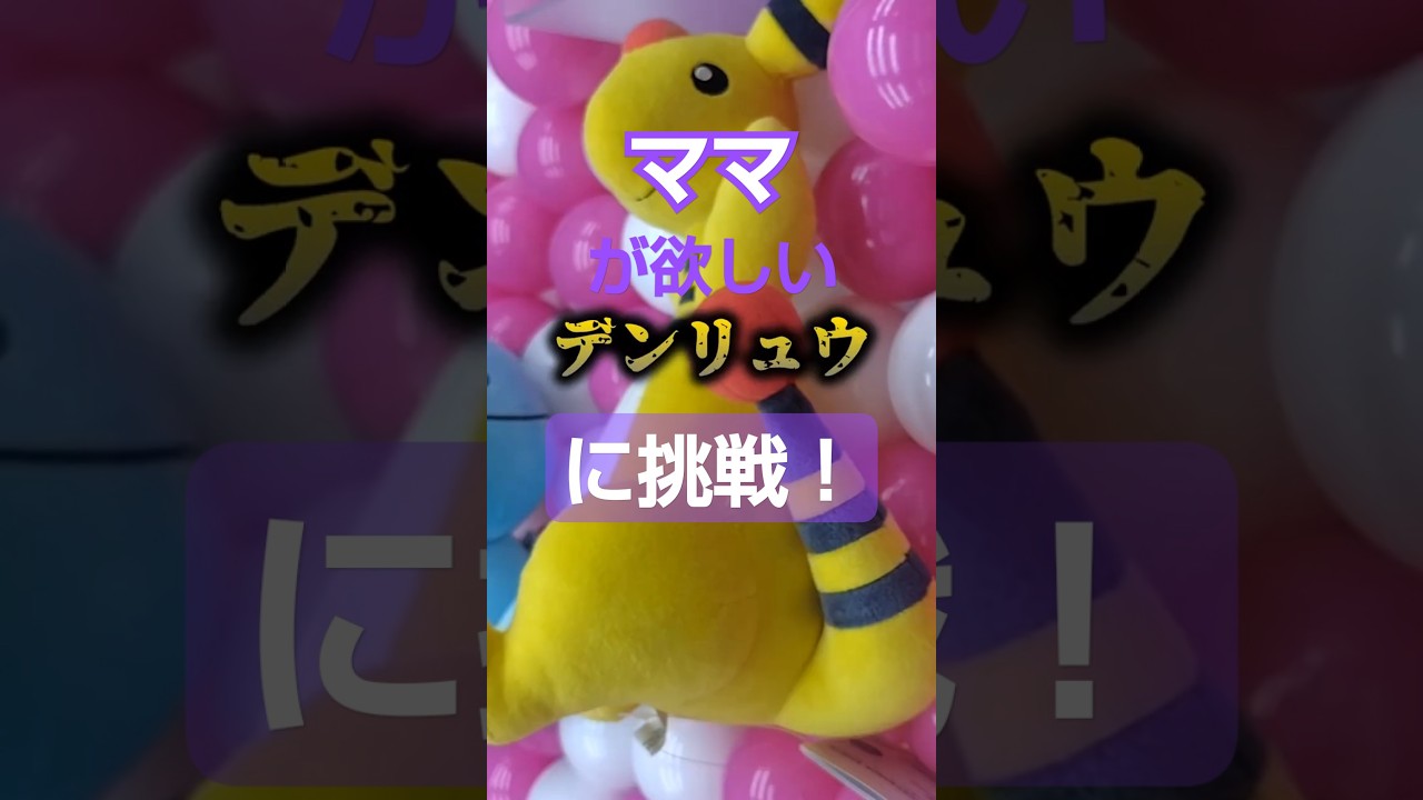 【クレーンゲーム】デンリュウ発見！