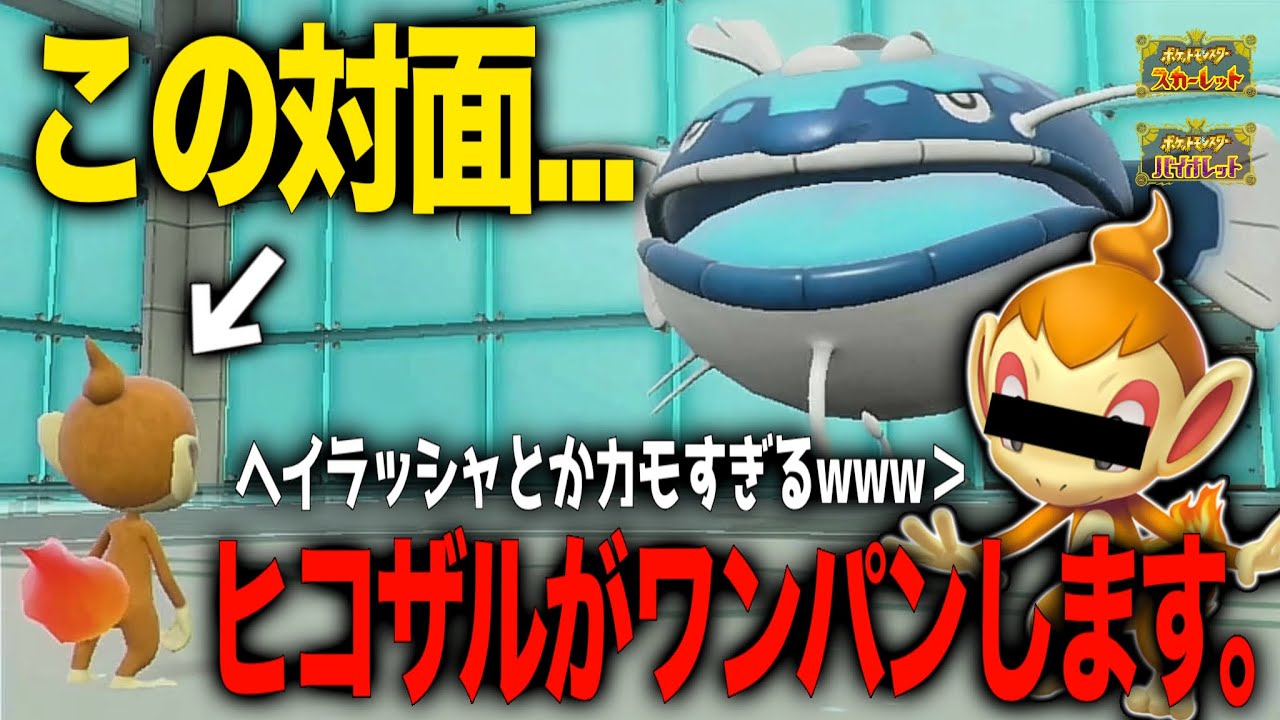 "ヒコザル"とかいう小猿を舐めてはいけません。。。【ポケモンSV】