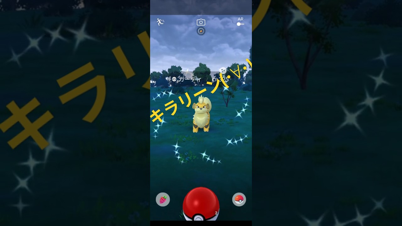 【ポケモンGO】ガーディ色違い発見！🤩 7kmたまごも割れた #ポケモンgo #pokemongo #ガーディ #色違い