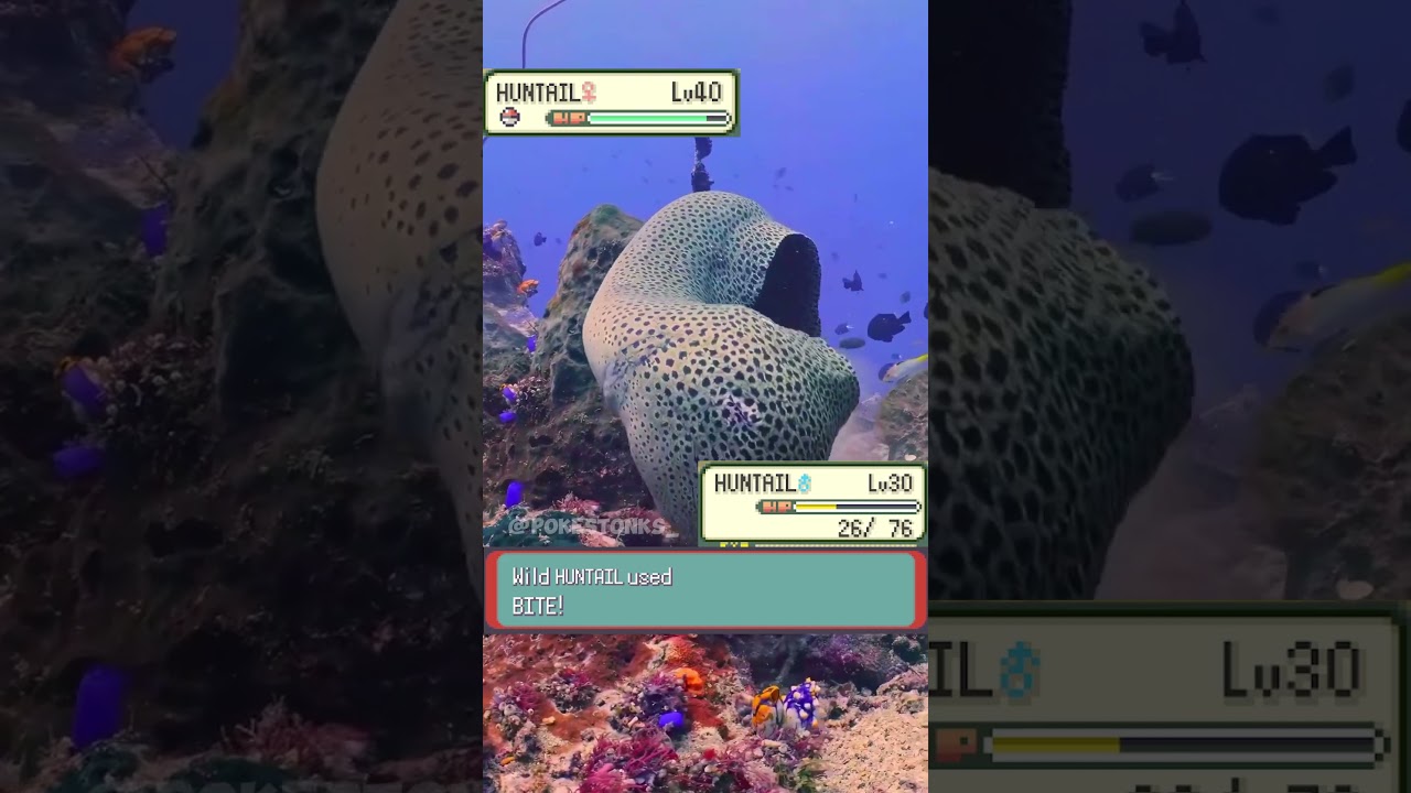 Huntail 𓆙 vs Huntail 𓆙 irl 💀 #pokemon