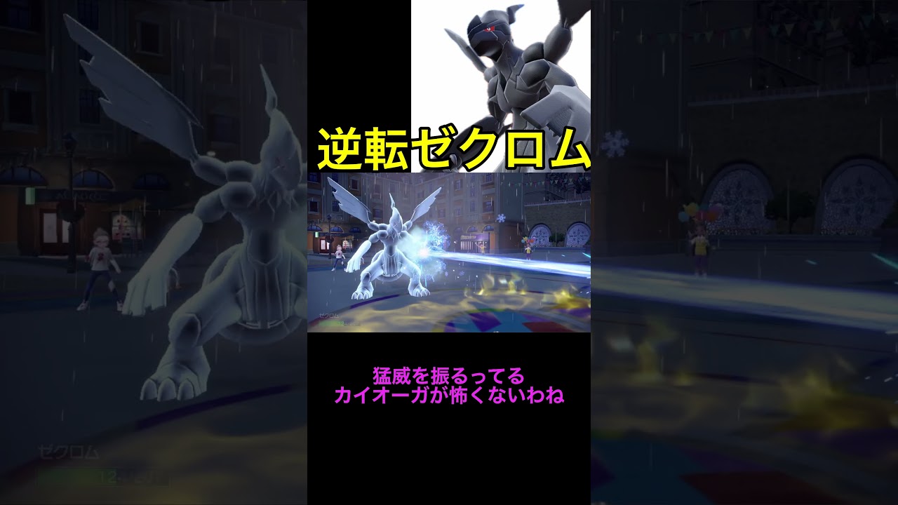 環境メタのゼクロム！？ミライドンをカモれる？#shorts  #ポケモンsv#ランクバトル  #ゼクロム#ミライドン#カイオーガ#バドレックス