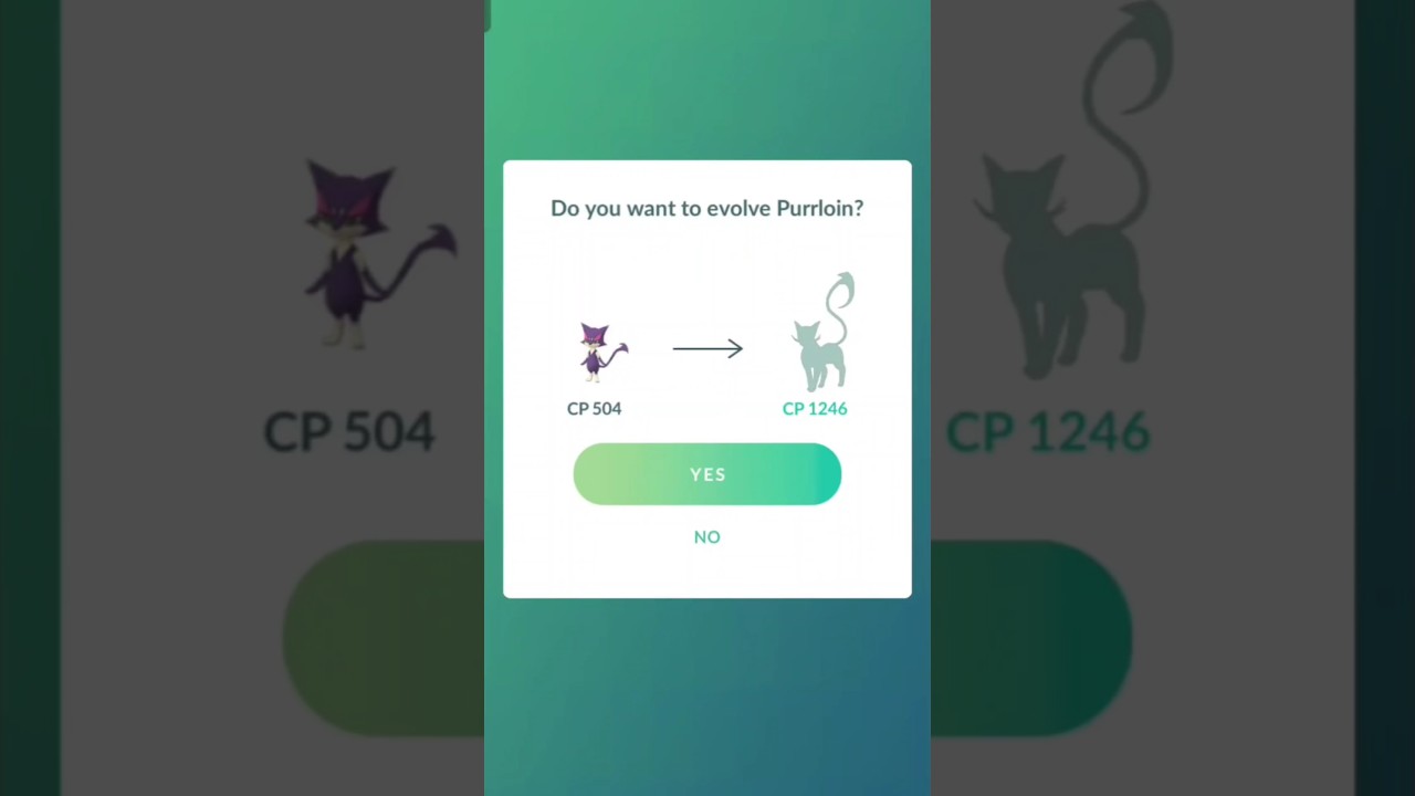 Evolved Purrloin to Liepard #pokemon #games #entertainment #popular #viral #gaming #gameplay #shorts