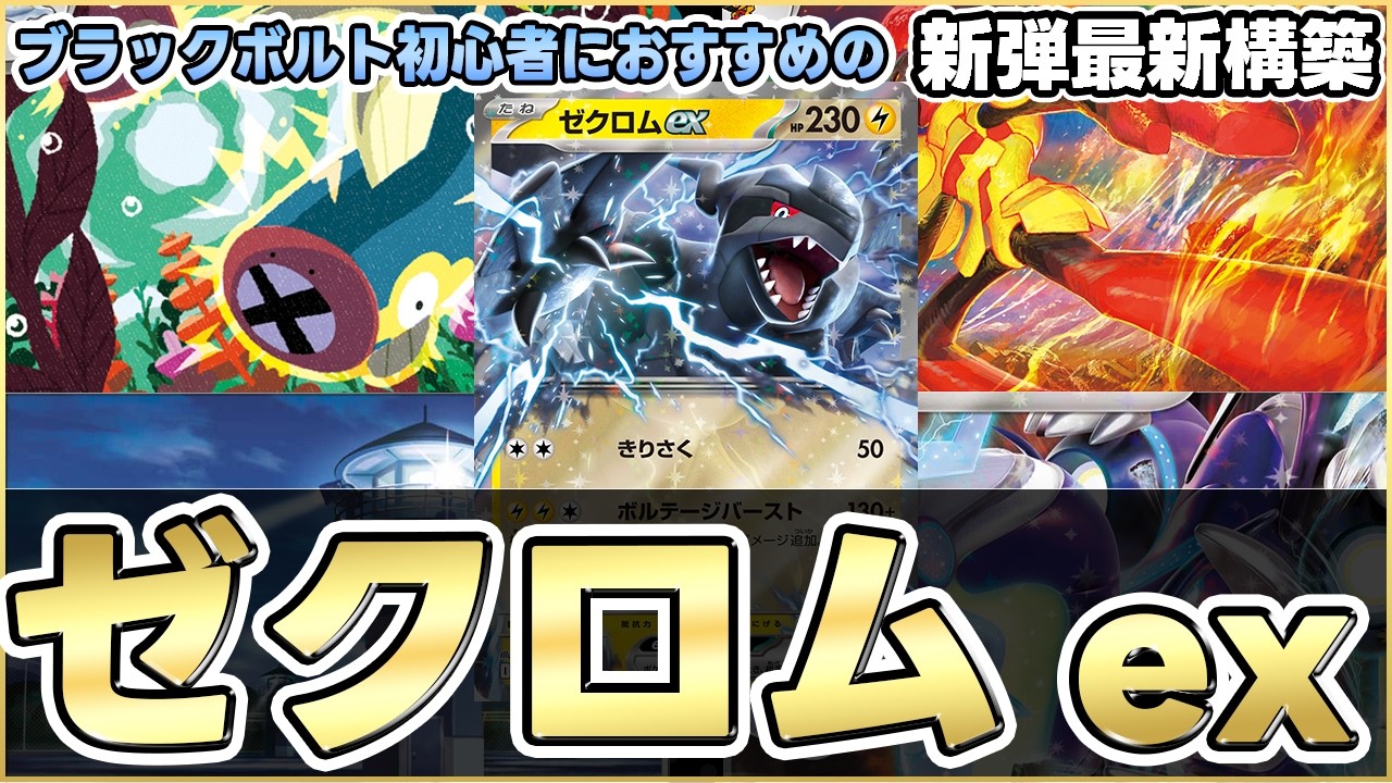 【ポケカ】ゼクロムとシビビールのコンボが強すぎる！雷デッキ復権！？【ホワイトフレア/ブラックボルト】