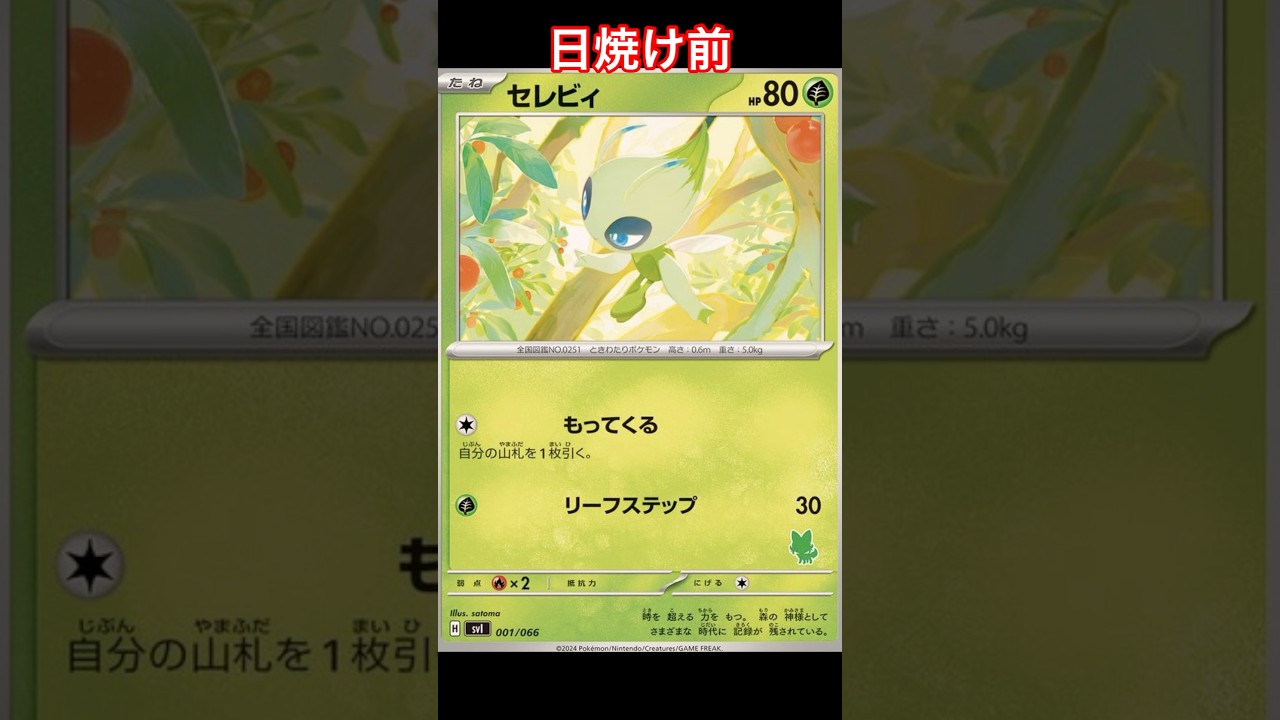 セレビィの日焼けポケカ 【ポケモンカード】