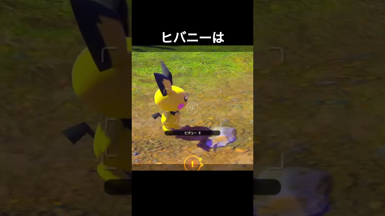 ピチューの親友　#ポケモンスナップ #ポケモン