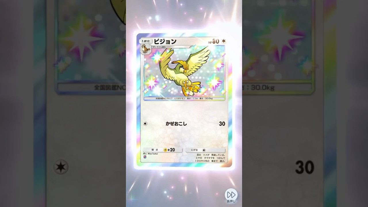 ピジョンの色違い！けどピジョット使わねー #ポケモン #ポケモンカード #ポケポケ開封チャレンジ #ポケカ #ポケポケ #pokemon #pokemoncards #pokemontcg