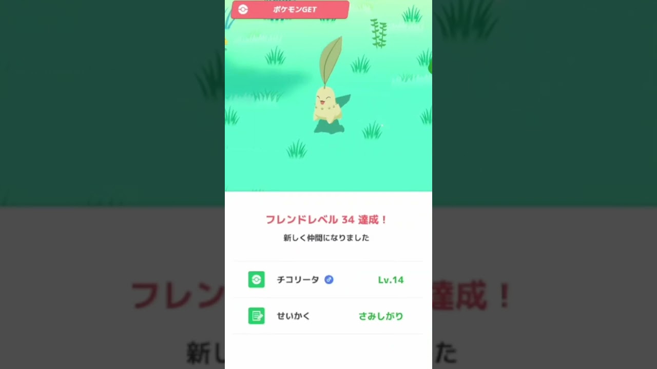 【ポケモンスリープ】　チコリータ良個体ゲット　【Pokémonsleep】