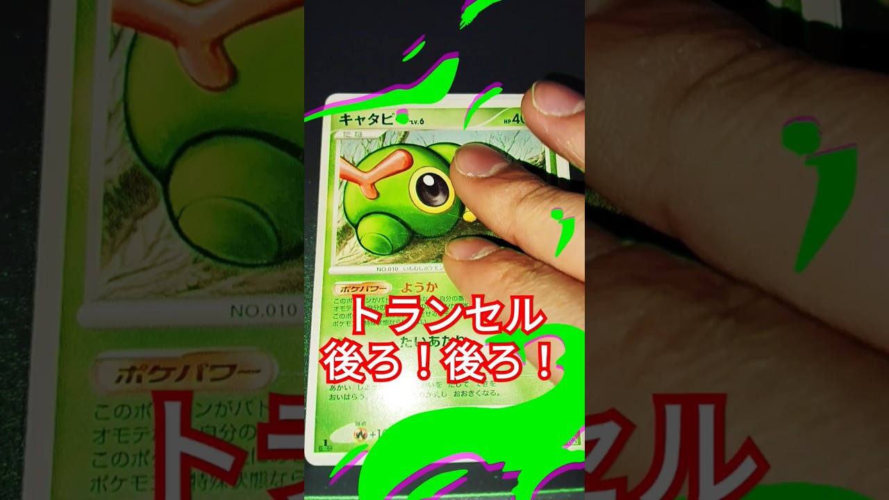 キャタピー進化 #ポケカ #ポケモンカード25周年 #ポケモンカード #ポケモン