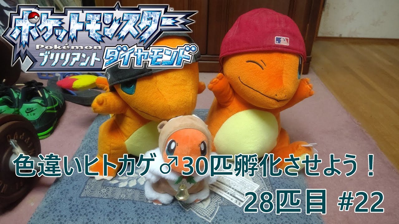 【ポケモンBDSP】色違いヒトカゲ♂を30匹孵化させよう！【色違い】 28匹目 #22