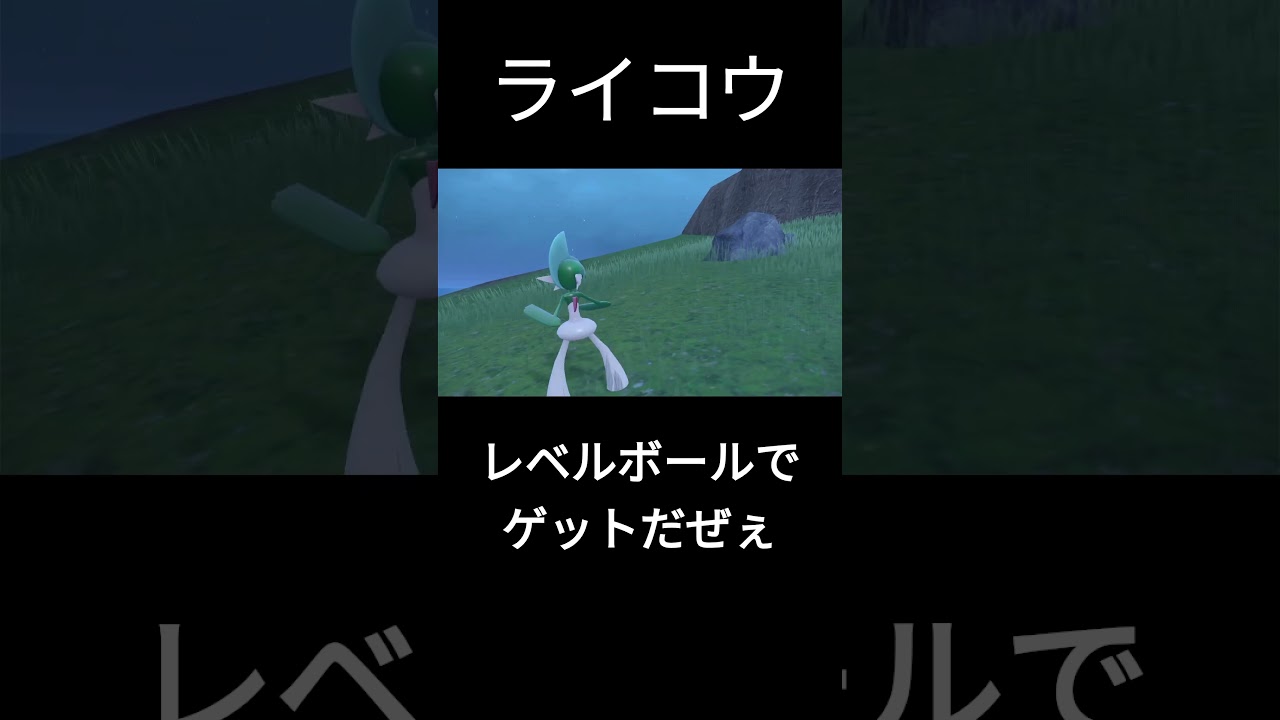 【ポケモンSV】ライコウ レベルボールでゲットだぜぃ！ #ポケモン #ポケモンsv ＃ライコウ ＃伝説ポケモン