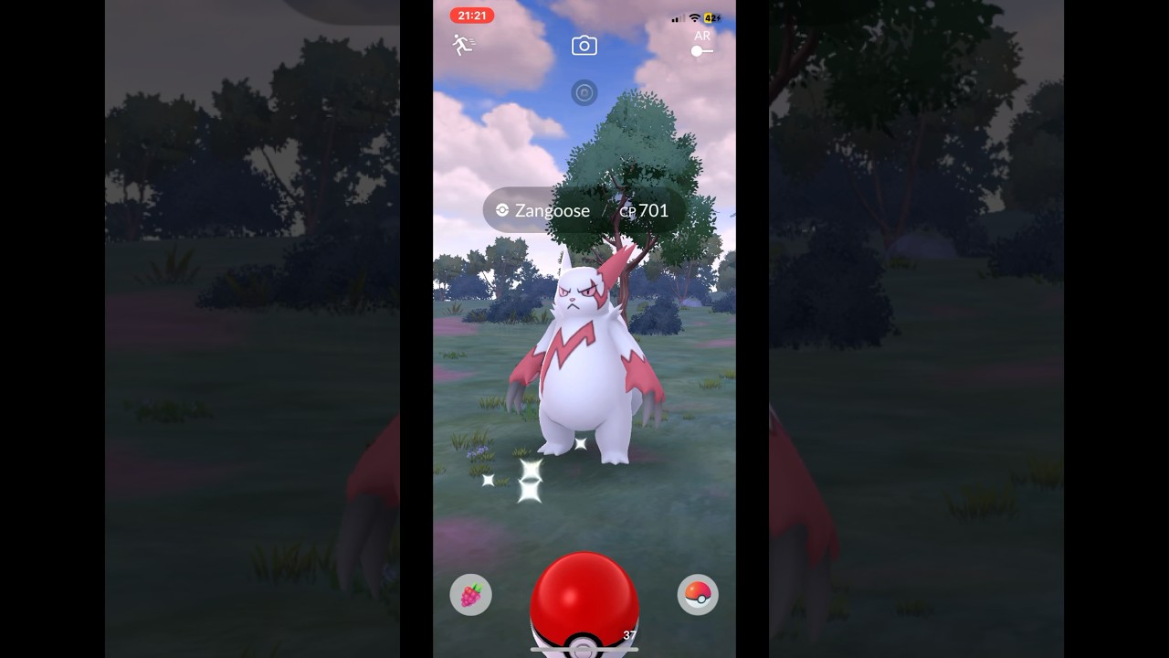 Pokémon GO. - Male Zangoose. #Pokémon #Zangoose