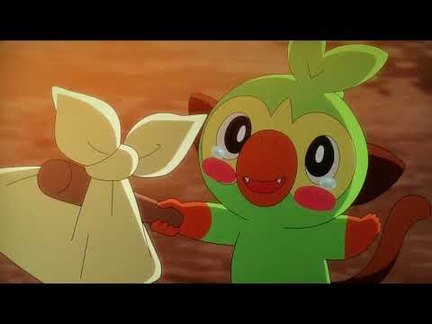 ポケットモンスター　第６９話　サルノリ　と　イーブイ　の　はじめてのおつかい　無事終了　シーン