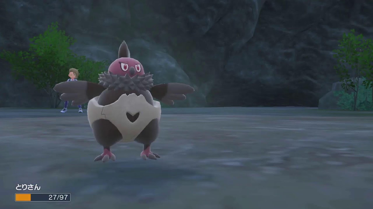 ポケモンSV DLC限定鳥縛り ストーリープレイ バード06