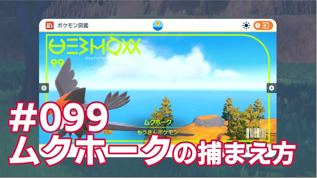 ムクホークを探している方に見てほしい動画
