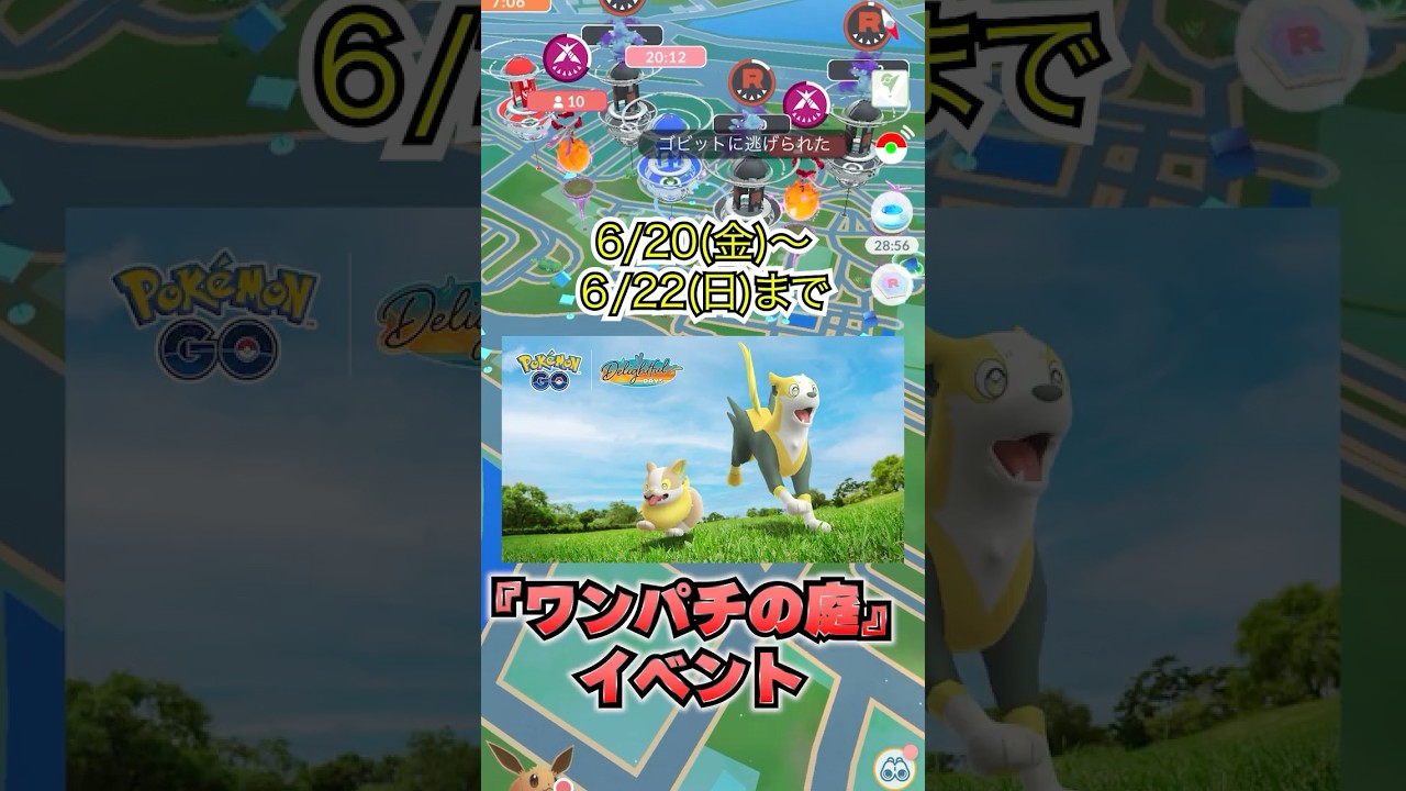 ワンパチの庭イベント開催！ワンパチの進化方法や野生ポケモンの変化！ブルー、トリミアン、ポチエナの色違い確率UP! #ポケモン #ゲームイベント #ポケモンgo