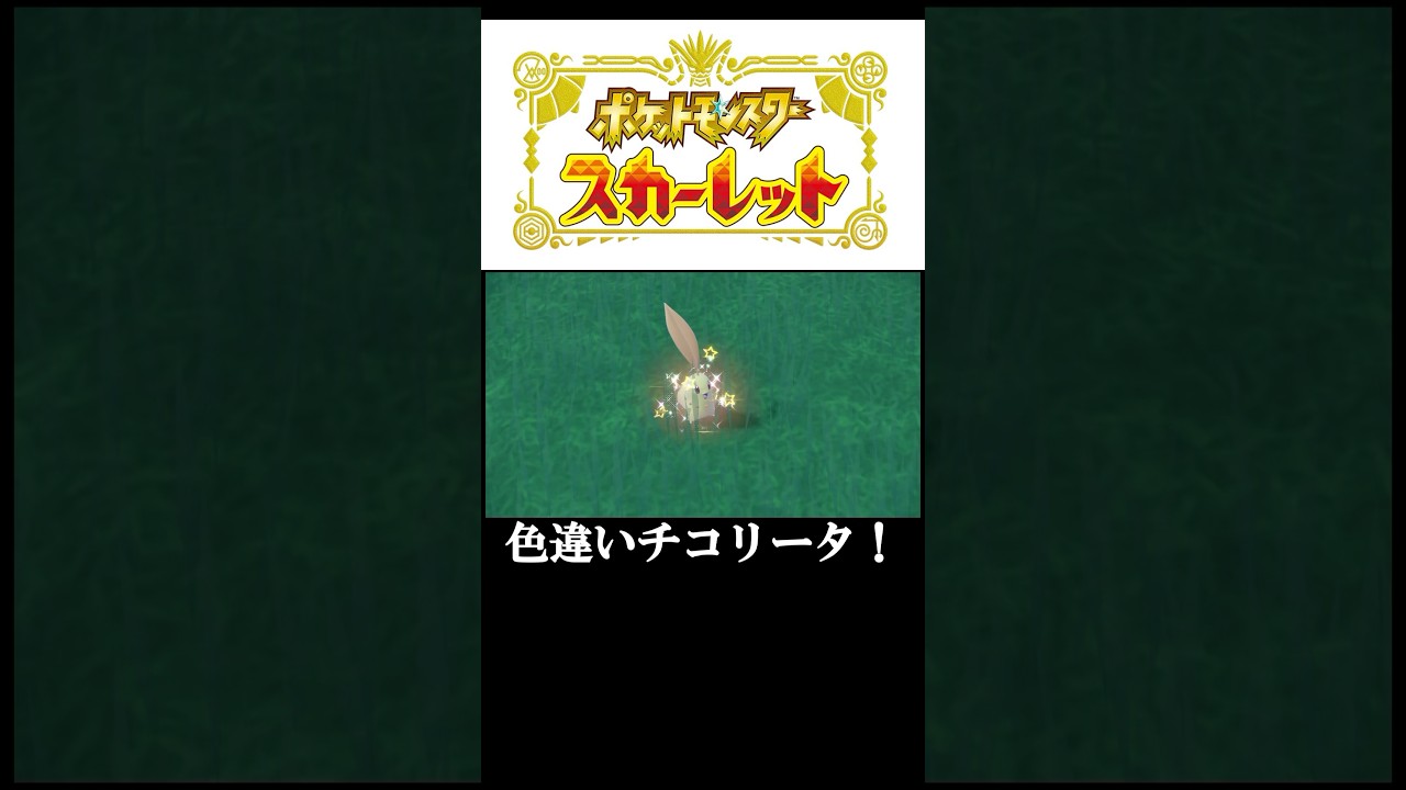 色違いチコリータGET！#ポケモン#ポケモンSV#ポケモンスカーレット#色違い#ゲーム#ゲーム実況#ゲーム配信#参加型#初心者#ゲーマー夫婦#switch