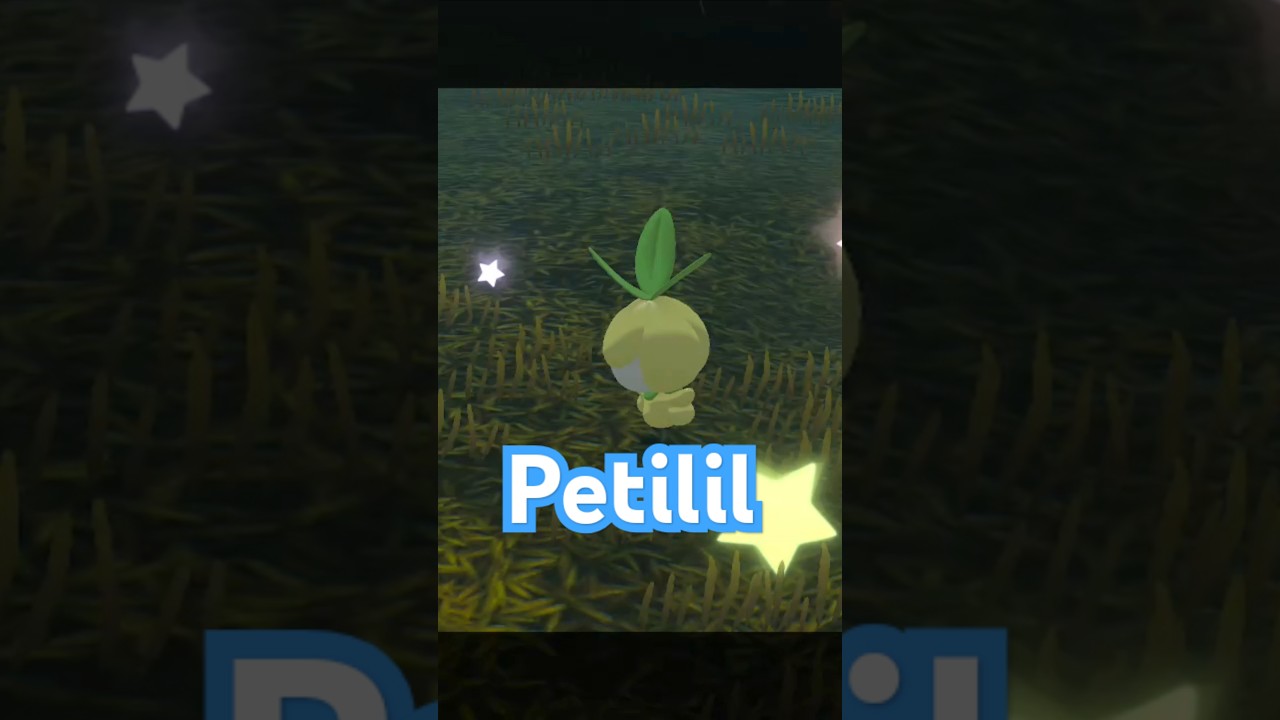 June/Pride Month Shinies Day 17: Petilil