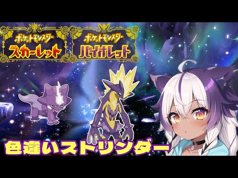 【ポケモンSV】色違いエレズン → ストリンダー【ポケットモンスタースカーレットバイオレット】