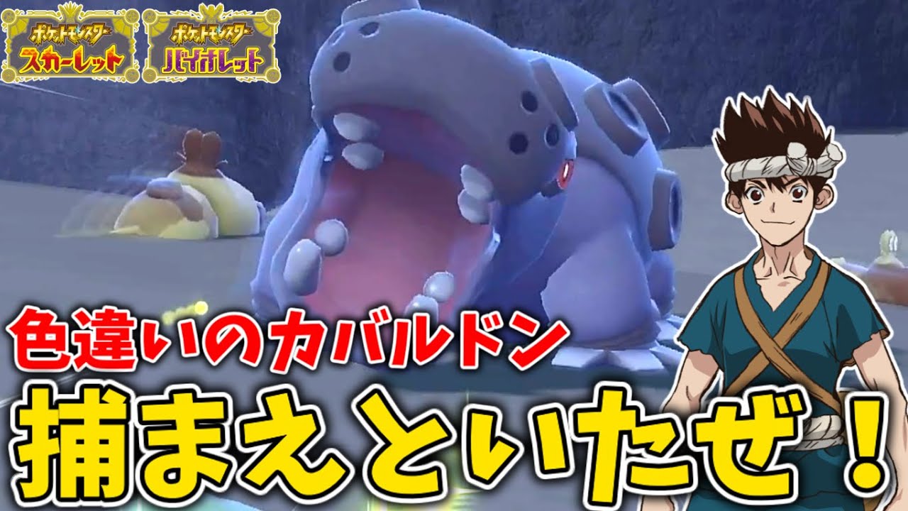 【ポケモンSV】『カバルドン』とかいう登場して以降ずっと強い化け物【ゆっくり実況】
