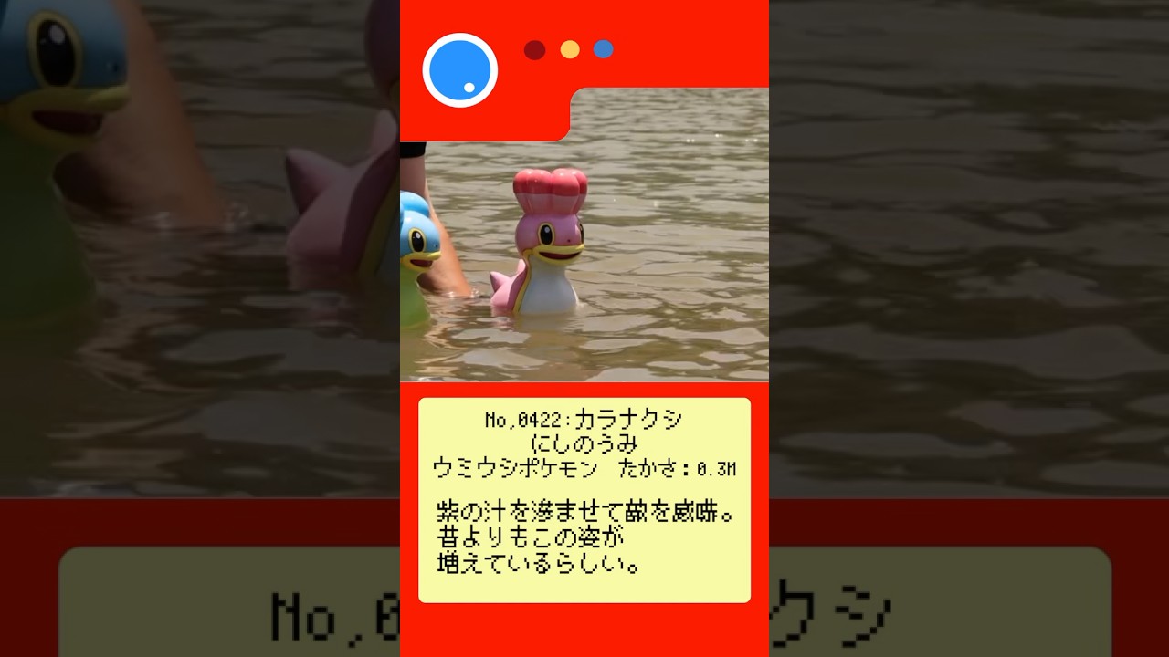 【実寸大ポケモン図鑑9】カラナクシ　にしのうみ #pokemon #ポケモン #カラナクシ