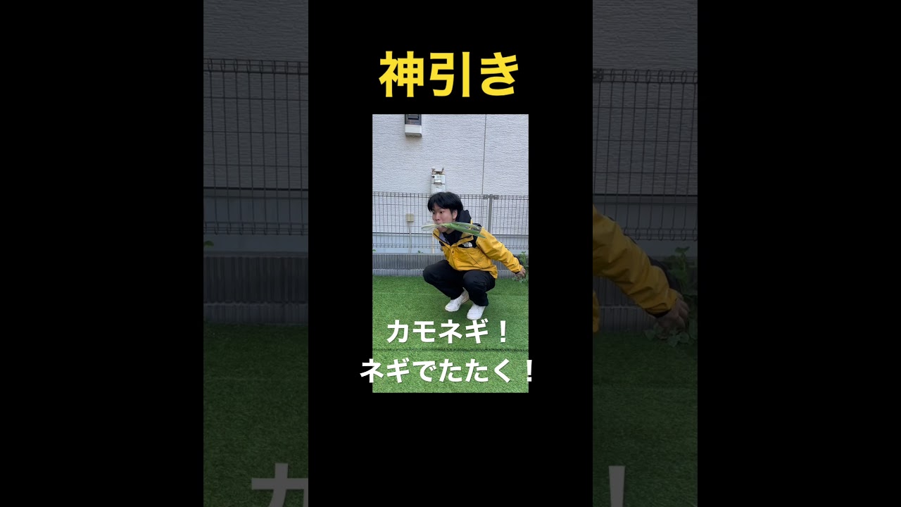 ポケモン開封動画#極めたシリーズ#ポケモン#pokemon #ポケポケ開封チャレンジ #カモネギ#ネギでたたく#神引き#最強#youtubeshorts #shorts #ブス