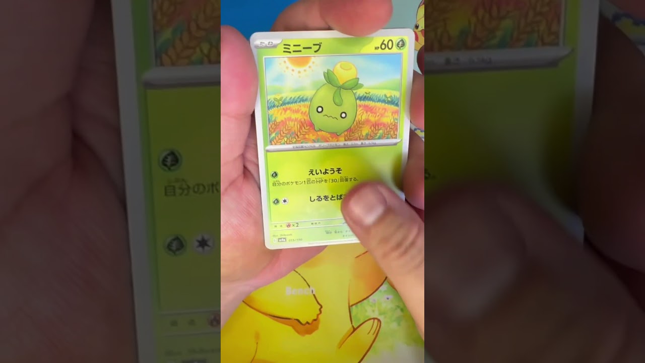 【毎日ポケモンクイズ】次の進化系をコメントで答えてね✨️ワカシャモ→○○○○○#ポケモンカード #ポケカ開封 #ポケモン #ポケモンクイズ #1日1パック開封#ポケモンクイズ