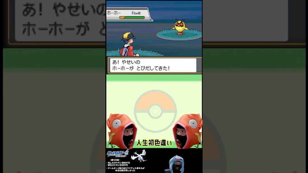 人生初色違いを見つけた結果【ソウルシルバー】＃ソウルシルバー＃人生縛り#色違い ＃ホーホー＃8192/1＃野生討伐禁止＃ポケモン