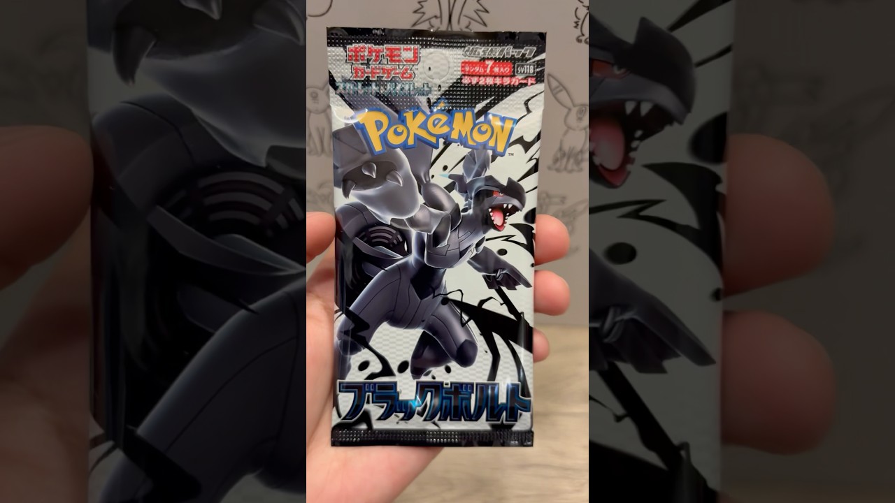 【発売日】ブラックボルトを開封してゼクロムBWRをぶち抜くぞー！！【ポケカ開封】#ホワイトフレア #ブラックボルト