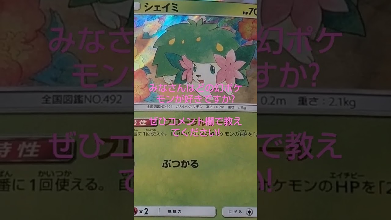 とてもかわいらしいシェイミ　ランドフォルム　ポケモンsv