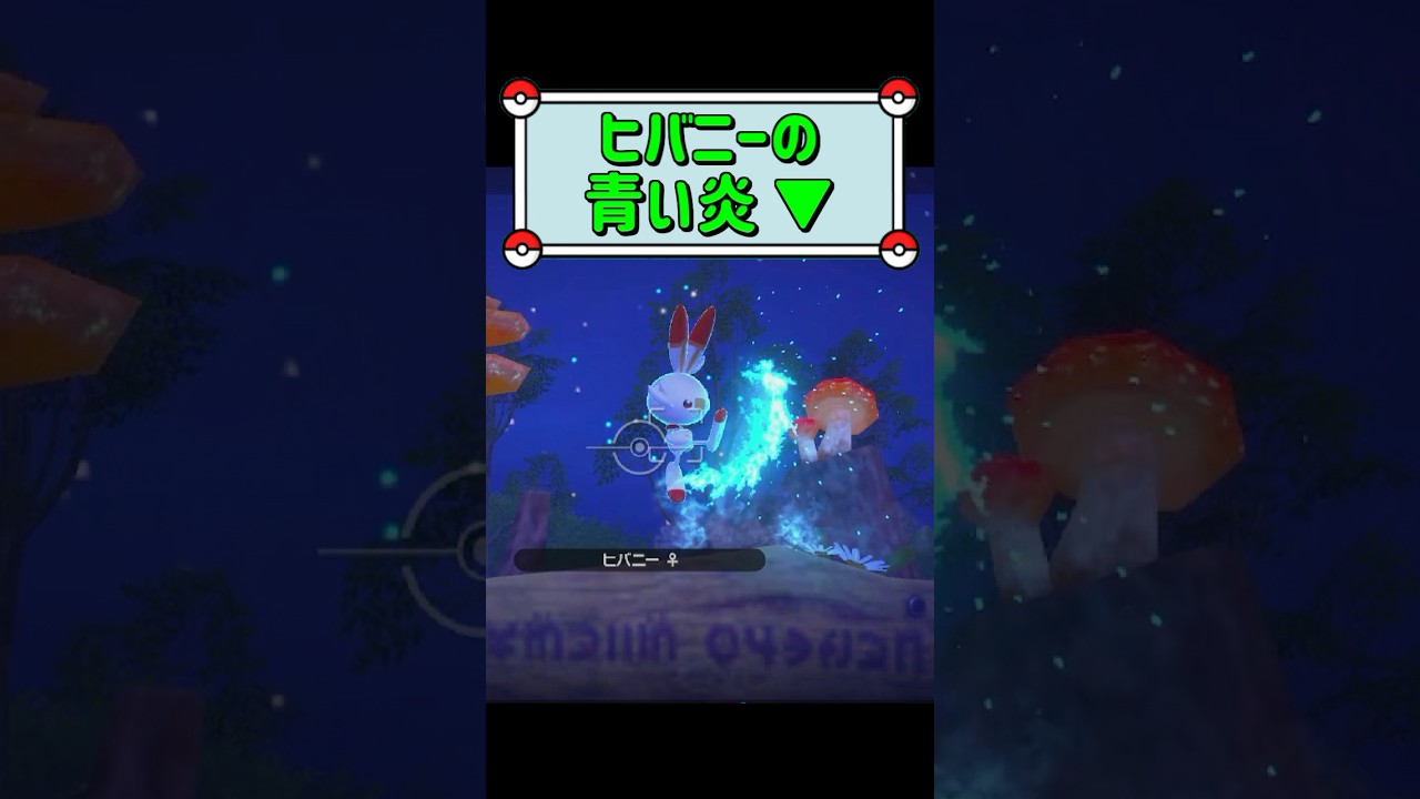 「ヒバニーの青い炎 ▼」　#ポケモンスナップ　#ポケモン　#shorts
