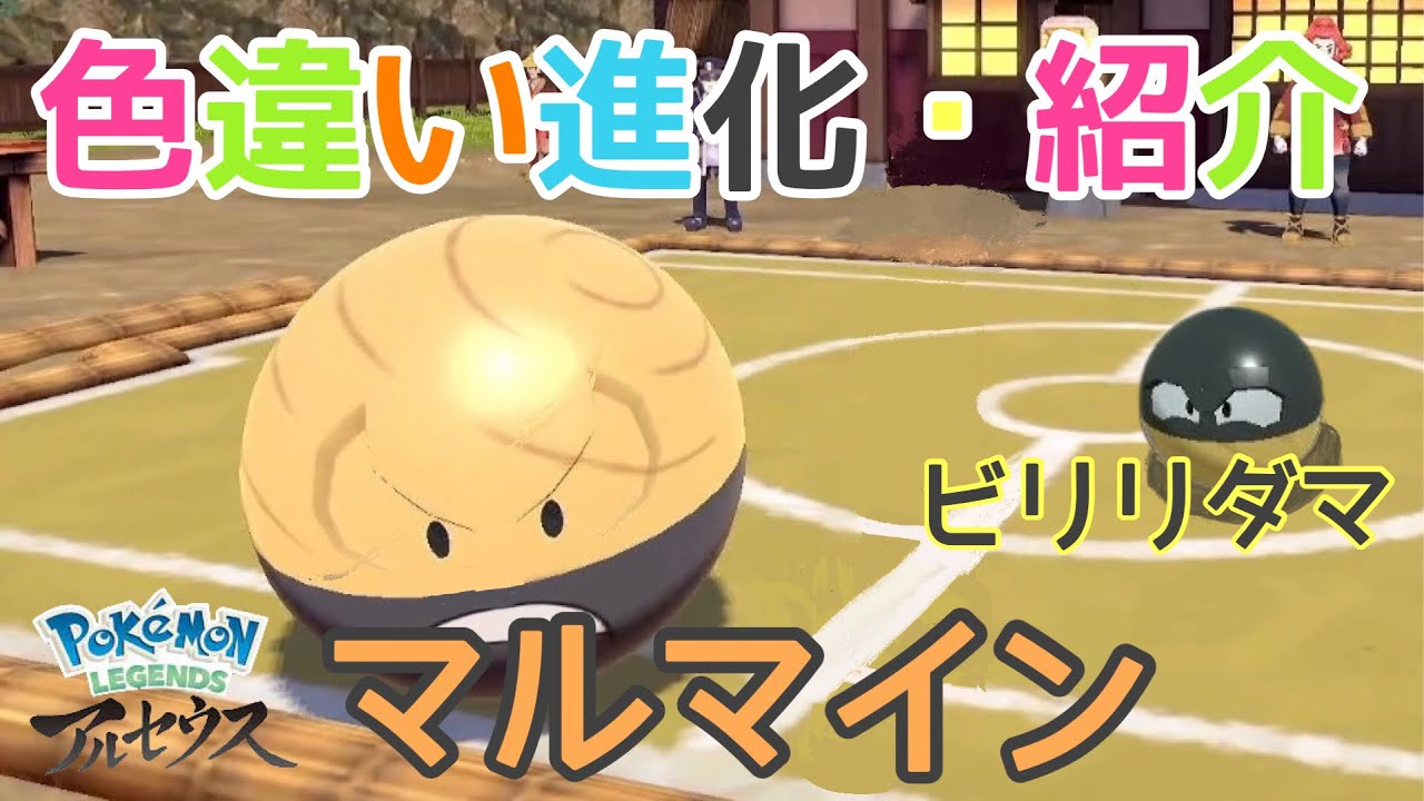 【ポケモンアルセウス】色違いビリリダマ【紹介実況】色違いマルマイン【進化実況紹介】