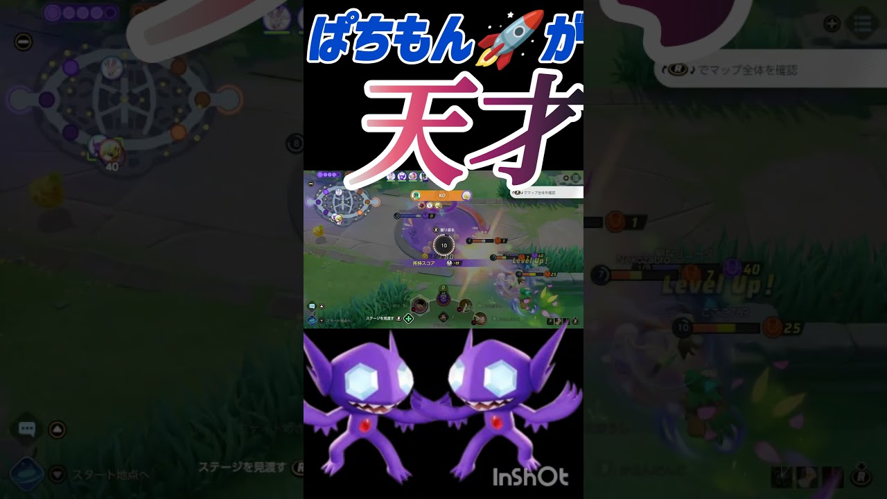とんかつも大興奮するヤミラミ#ポケユナ #ポケモン #ポケモンユナイト #pokemonunite #pokemon #unite #ヤミラミ #最強 #新シーズン #shorts