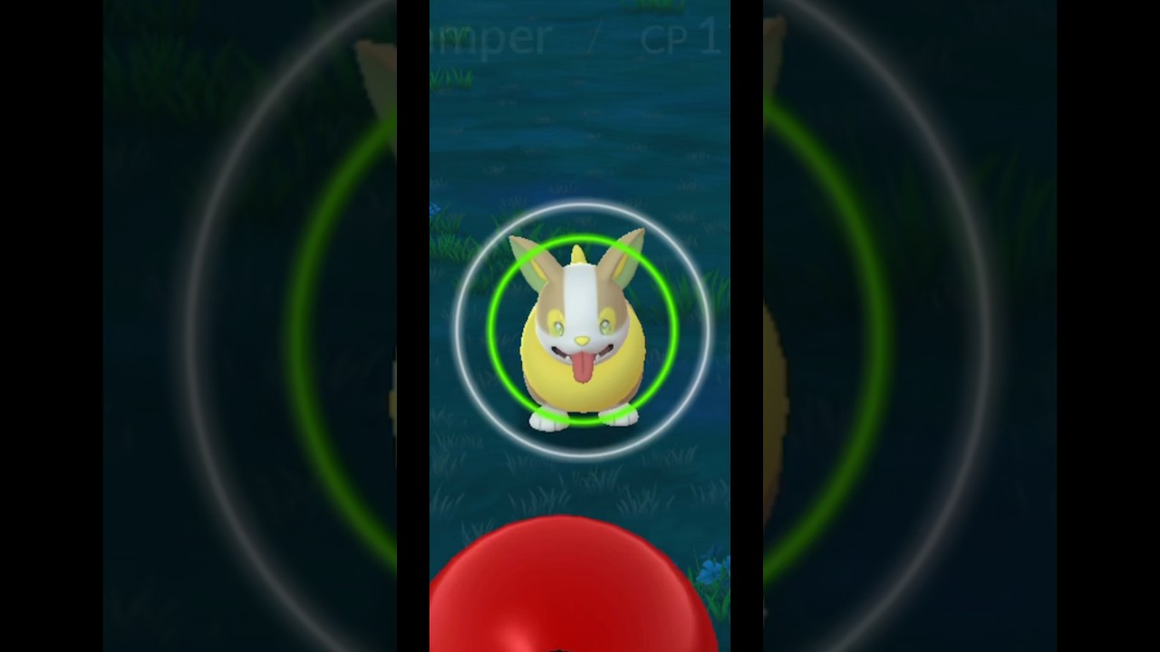 BACK-TO-BACK POKÉDEX ENTRIES?! Yamper to Boltund Evolution! 😱🔥