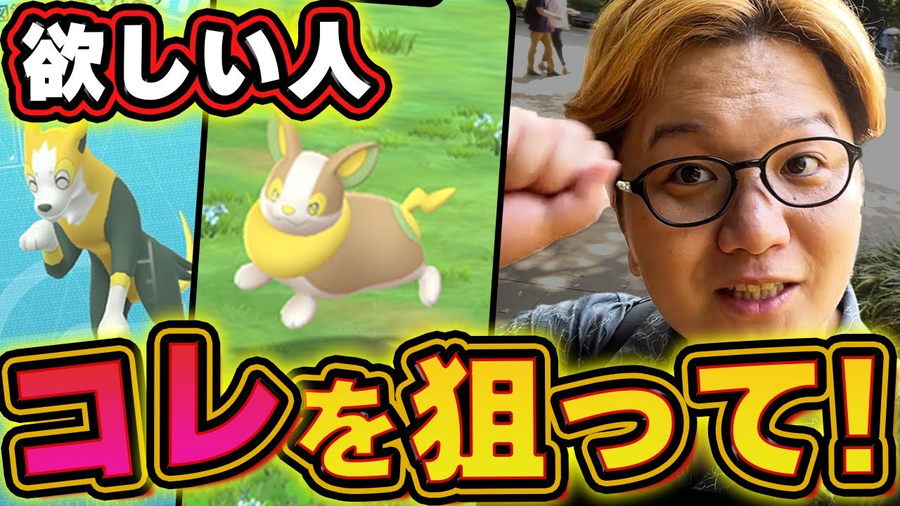 ワンパチぃぃぃぃ!!!!レアだけどこれ狙えば問題ないよぉぉぉぉぉ!!!!!!【ポケモンGO】