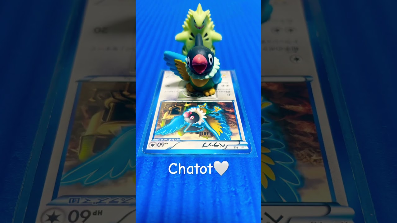 #Chatot🤍 #pokemon