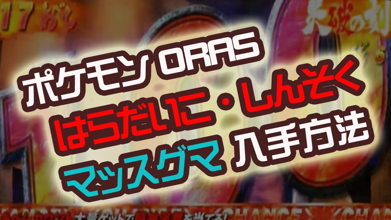 はらだいこ・しんそく　マッスグマ 入手方法 ポケットモンスター ORAS ポケモン　裏技　攻略 オメガルビー