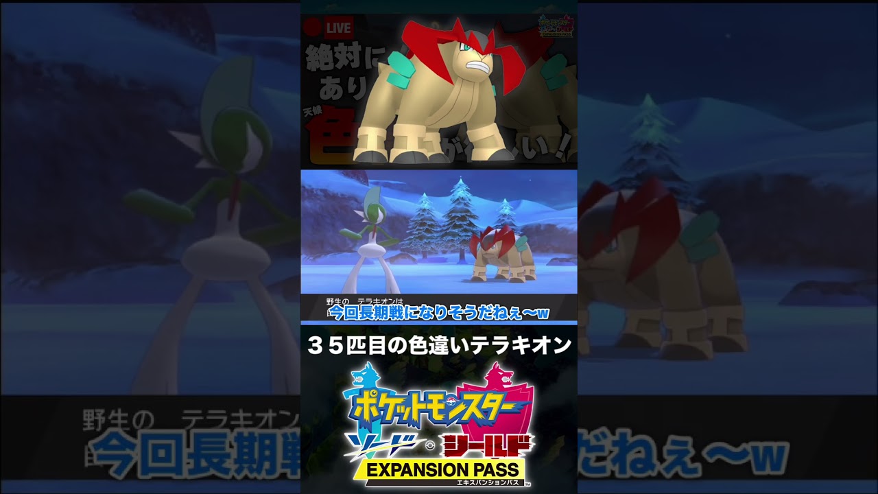 35匹目の色違いテラキオンと邂逅した男【ポケモン剣盾】