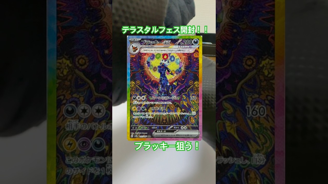 ブラッキーを狙ってテラスタルフェス開封！#ポケモンカード #ポケカ再販最新情報 #ポケカ #ポケモン #ポケカ開封 #ブラックボルト　#ホワイトフレア #ロケット団の栄光