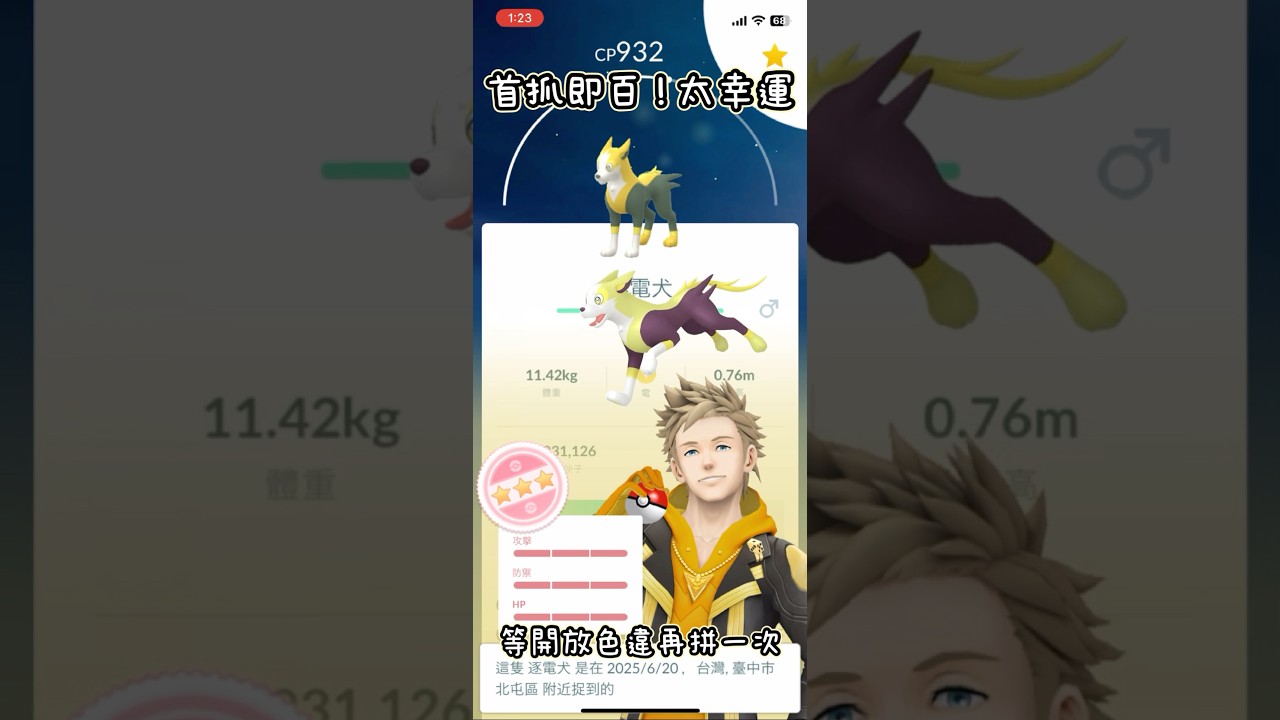 Pokémon Go 來電汪進化論 #pokemongo #來電汪 #逐電犬 #精靈寶可夢go #ワンパチ #Yamper #パルスワン #Boltund #pokemon