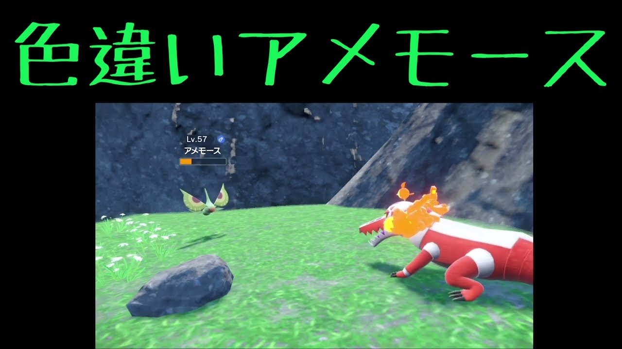 色違いアメモースでた