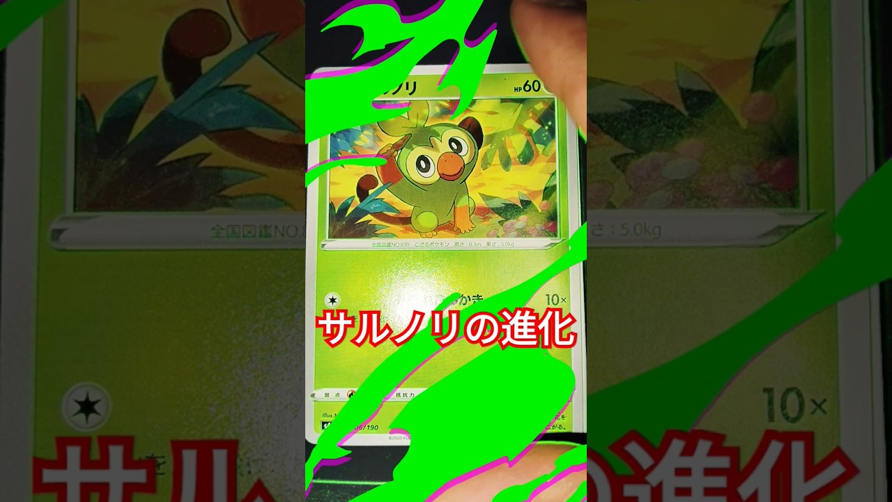 サルノリ進化ポケカ #ポケカ #ポケモンカード25周年 #ポケモンカード #ポケモン