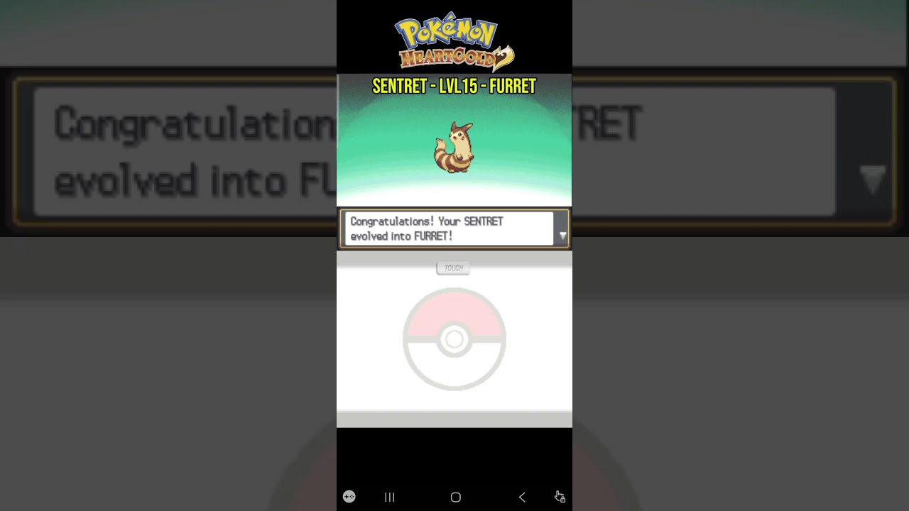 Sentret evolved #pokemon #pokemonheartgold #pokemonsoulsilver #pokemoncommunity #pokemontcgp