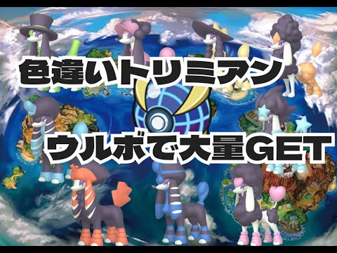 【4匹目～】ポケットモンスター　ウルボで捕獲色違いトリミアン探し　part.6【USUM】4匹目GET