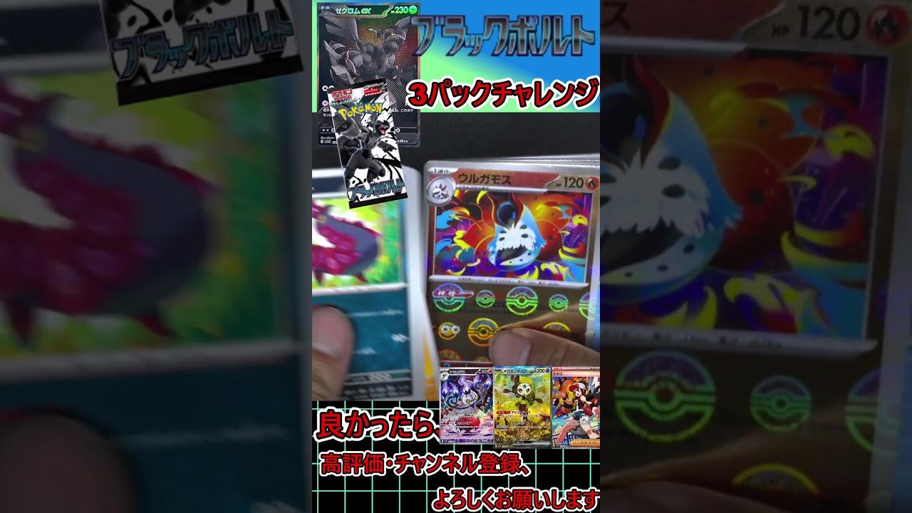 【ポケモンカード】ゼクロムex BWRがどうしても欲しいぃぃぃぃ！！！！ブラックボルト　3パックチャレンジ！！！！！！！＃3【開封動画】#Shorts2 #neiruチャンネル