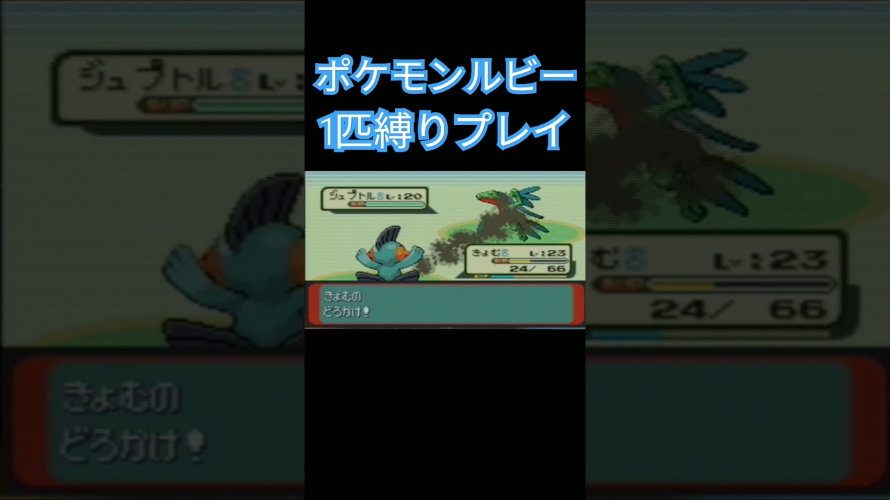 【ポケモンルビサファ】ポケモン1匹縛りプレイ!!ミズゴロウver【縛りプレイ】#ポケモンルビサファ #縛りプレイ #ミズゴロウ #ヌマクロー #ラグラージ #ゲーム実況