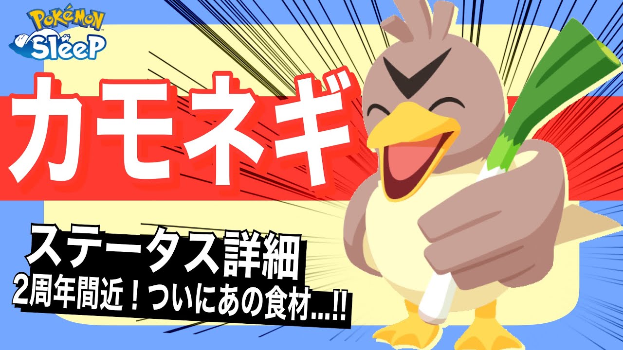 ついに実装!!カモネギのステータス速報【ポケモンスリープ】