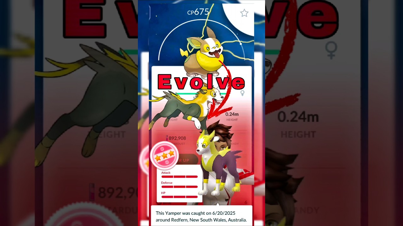 Pokemon Boltund Evolution & Pokemon Yamper Evolution #shorts #pokemongo #boltund #yamper
