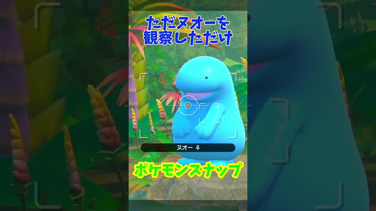 【ポケモンスナップ】特に意味のないヌオー観察
